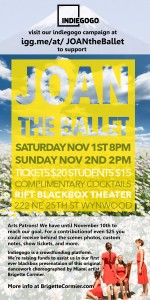 FINAL 5x10 indiegogoside